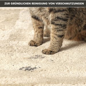 Mačje šapice i tragovi na tepihu – svakodnevni život s kućnim ljubimcima