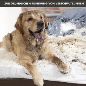 Pas uživa na mekanom krevetu nakon malo nestašne igre